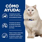 Hill's Prescription Diet Urinary Care c/d multicare stress pollo pienso para gatos, , large image number null